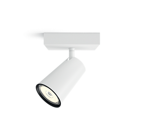 Lampa sufitowa biały reflektor punktowy Philips Paisley 50571/31/PN